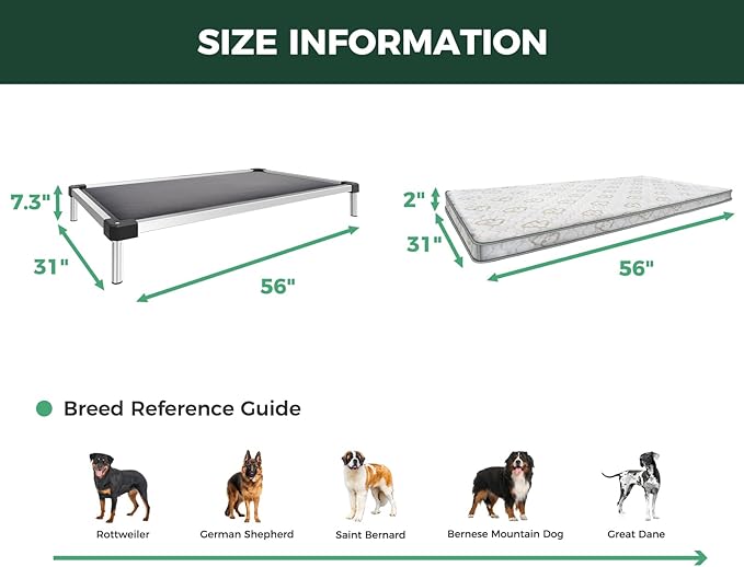 FXW TitanNest Chew-Proof Elevated Dog Bed, Raised Cot for Indoor/Outdoor/Camping Use, Durable & Washable Padded Pet Bed with Exclusive Cover for Extra-Large Dogs, 56.0" L x 31.0" W x 7.3" H, Gray-PurrikoPets