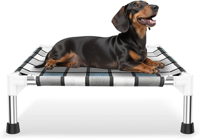 Elevated Outdoor Raised Dog Bed Outdoor Dogs Bed Lifted Pet Bed Dog Cot for Pet Taste Life, Start with A Pet Bed 20'' x 20'' x 6.5''-PurrikoPets