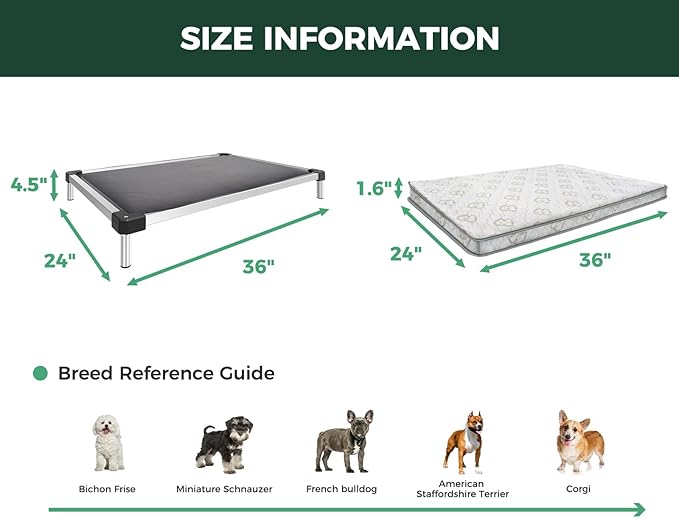FXW TitanNest Chew-Proof Elevated Dog Bed, Raised Cot for Indoor/Outdoor/Camping Use, Durable & Washable Padded Pet Bed with Exclusive Reuseable Cover for Small Dogs, 36.0" L x 24.0" W x 4.5" H, Gray-PurrikoPets