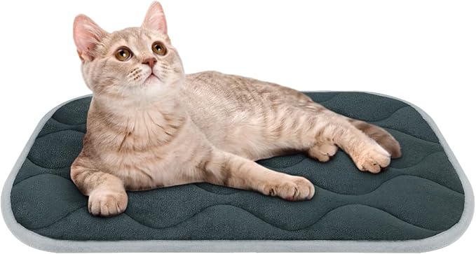 furrybaby Dog Bed Mat Flat Crate Mat with Anti-Slip Bottom Machine Washable Pet Kennel Pad for Dog Sleeping (XS 22x13'', Grey Mat)-PurrikoPets