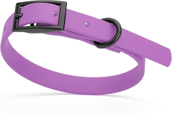 Dogline Biothane Waterproof Dog Collar Strong Coated Nylon Webbing with Black Hardware Odor- Proof for Easy Care Easy to Clean High Performance Fits Small Medium or Large Dogs, Amethyst Purple-PurrikoPets