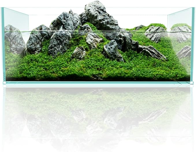 Fzone 6.4 Gal Shallow Rimless Low Iron Fish Tank Nova Clear Ultra-White 45° Mitered Edges Translucent Glass Anata Series Aquarium w/Black Foam Leveling Mat-PurrikoPets