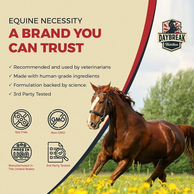 8 in 1 Maximum Strength Equine Joint Supplement - Joint Supplement for Horses - Glucosamine, MSM, Chondroitin, Turmeric, Hyaluronic Acid, Manganese, & Boswelia - 964g (30 Servings)-PurrikoPets
