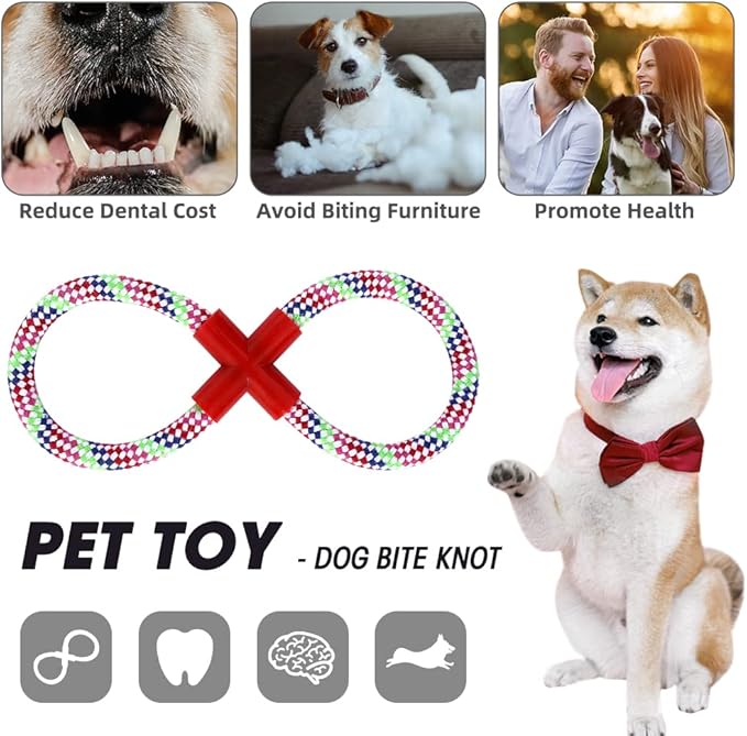 Dog Stairs&Steps for High Beds Up to 28'', 5-Step Dog Ramp for Small Medium Dogs with Washable Cover, Pet Steps for Cats to Get on Couch and Sofa, Durable Foam Ladders, 24.4" Tall, Grey-PurrikoPets