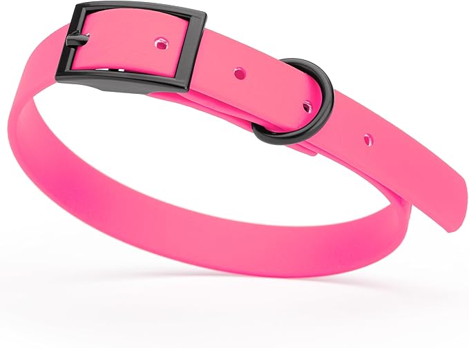Dogline Biothane Waterproof Dog Collar Strong Coated Nylon Webbing with Black Hardware Odor- Proof for Easy Care Easy to Clean High Performance Fits Small Medium or Large Dogs, Passionfruit Pink-PurrikoPets