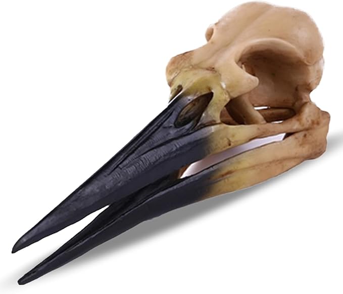 Fish Cave Hideout Ornament Décor for Terrarium Dinosaur Animal Skull Aquarium Large Decorations Betta Tarantula Reptile Snake Decor Bones Halloween-PurrikoPets