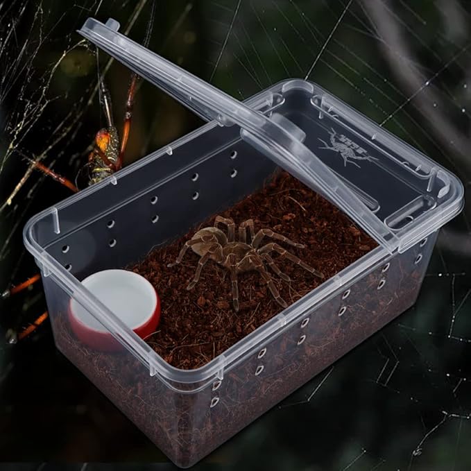 5 Pcs Spider Small Terrariums Breeding Box Transparent Hatching Container Plastic Feeding Box for Small Reptile Spider Scorpion Centipede Insect-PurrikoPets