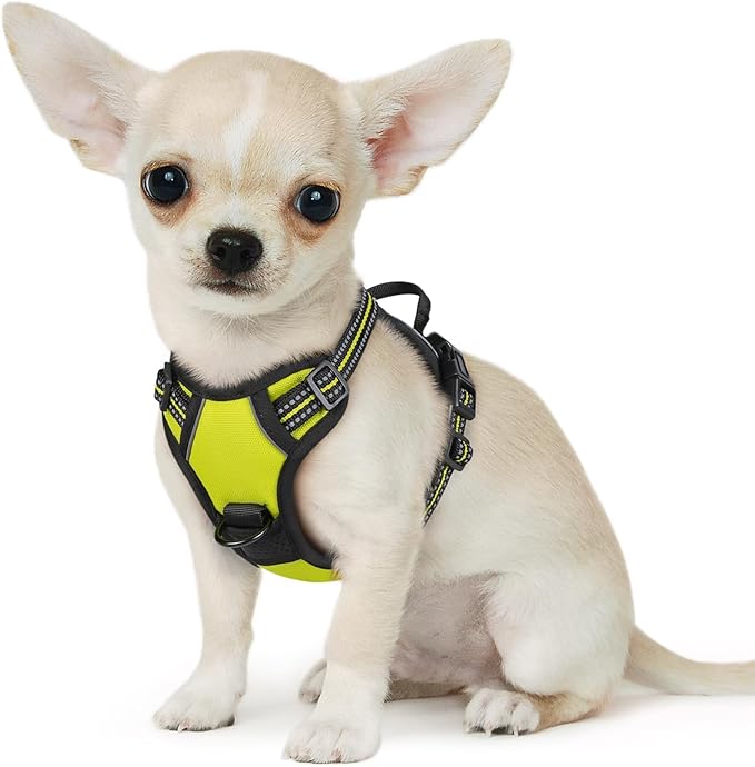 Eagloo Small Dog Harness No Pull, Service Vest with Reflective Strips and Control Handle, Adjustable and Comfortable for Walking, No Choke Pet Harness with 2 Metal Rings, Green, XS-PurrikoPets