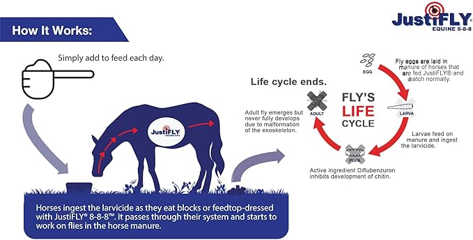 Equine 8-8-8 Fly Control for Horses (10 lb)-PurrikoPets