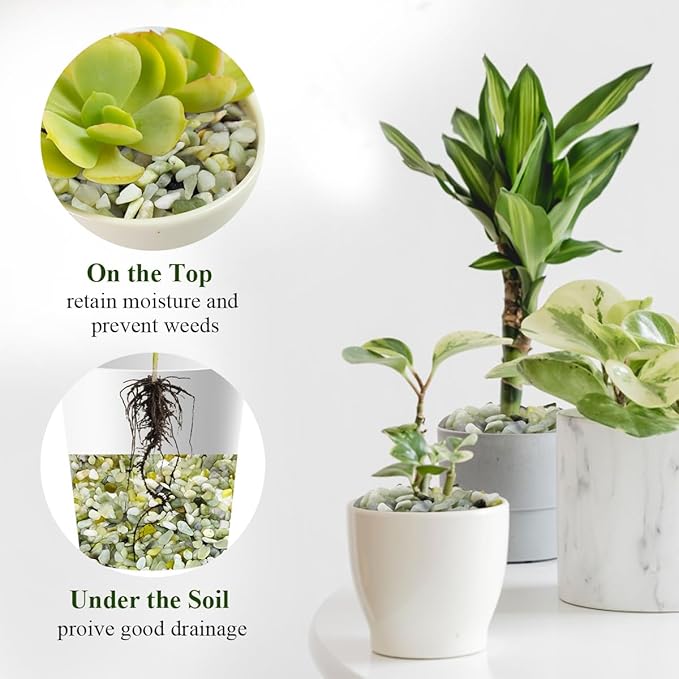 5 lbs Jade Gravel Small Pebbles for Indoor Plants, Decorative Rocks for Plants Succulents Cactus Bamboo Vases Filler and Potted Drainage Gravel-PurrikoPets