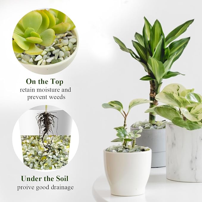 2 lbs Jade Rocks for Plants Indoor, 1/4 inch Small Pebbles for Plants, Decorative Rocks for Succulents Cactus Vases Landscaping Drainage and Outdoor Garden Rocks-PurrikoPets