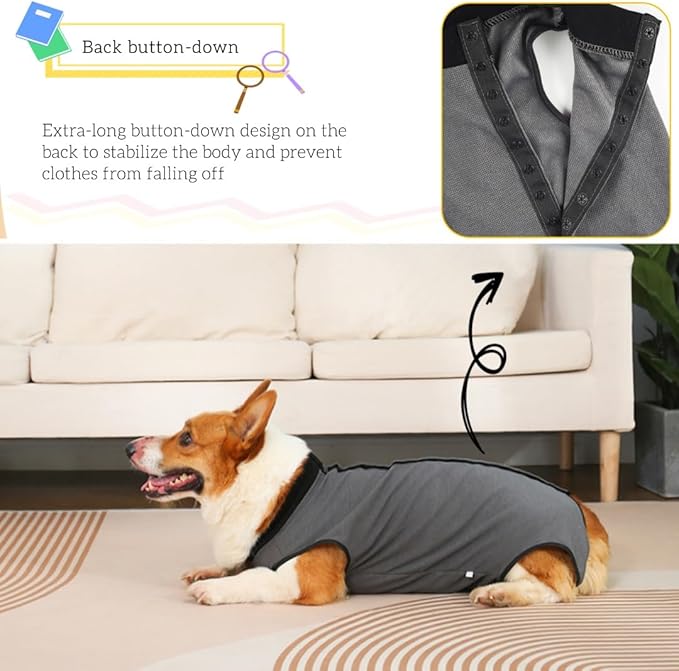 Dog Surgery Recovery Suit,Abdominal Surgical Suit for Dogs,Recovery Suit for Dogs,Prevent Licking Surgical Wound Dog Cone Alternative Blue XL-PurrikoPets
