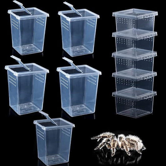 10 Pack Spider Terrariums Breeding Box Small Reptile Hatching Container Acrylic Feeding Box for Arboreal Spider Tarantula Mantis Scorpion Centipede Insect (5 High+5 Small)-PurrikoPets