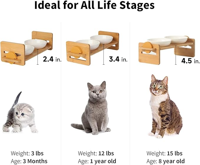 FUKUMARU Elevated Cat Ceramic Bowls, Small Dog 15° Tilted Raised Food Feeding Dishes, Solid Bamboo Water Stand Feeder Set for Cats and Puppy-PurrikoPets