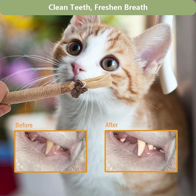 6 PCS Silvervine Sticks for Cats - Natural Cat Chew Toys for Teeth Cleaning, Kitten Teething & Aggressive Chewers-PurrikoPets