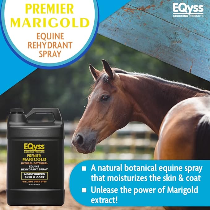 EQyss Premier Marigold Equine Coat Conditioning Spray - Moisturize Horse's Skin & Coat, Add Shine, Detangle, Repel Dirt & Dust, Silicone-free (128 oz)-PurrikoPets