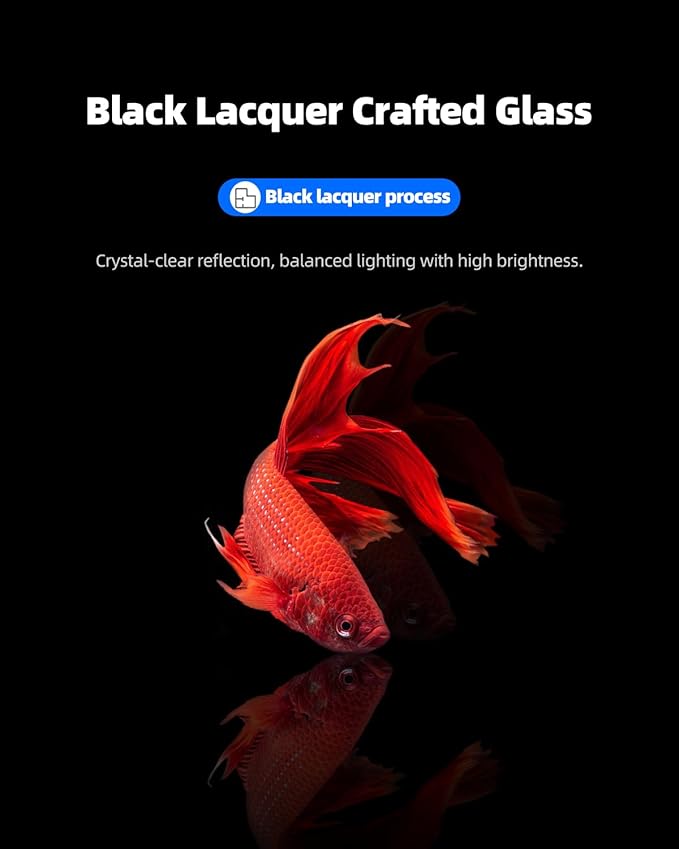 3 Gallon Clear Glass Fish Tank, Small Fish Tank Aquarium for Betta, Goldfish, Snail,Shrimp and Aquatic Planting-PurrikoPets