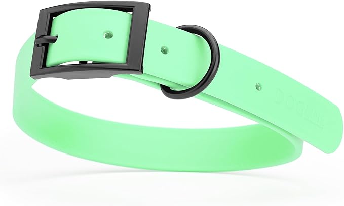 Dogline Biothane Waterproof Dog Collar Strong Coated Nylon Webbing with Black Hardware Odor- Proof for Easy Care Easy to Clean High Performance Fits Small Medium or Large Dogs, Sea Foam Green-PurrikoPets