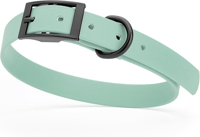 Dogline Biothane Waterproof Dog Collar Strong Coated Nylon Webbing with Black Hardware Odor- Proof for Easy Care Easy to Clean High Performance Fits Small Medium or Large Dogs, Sage Green-PurrikoPets