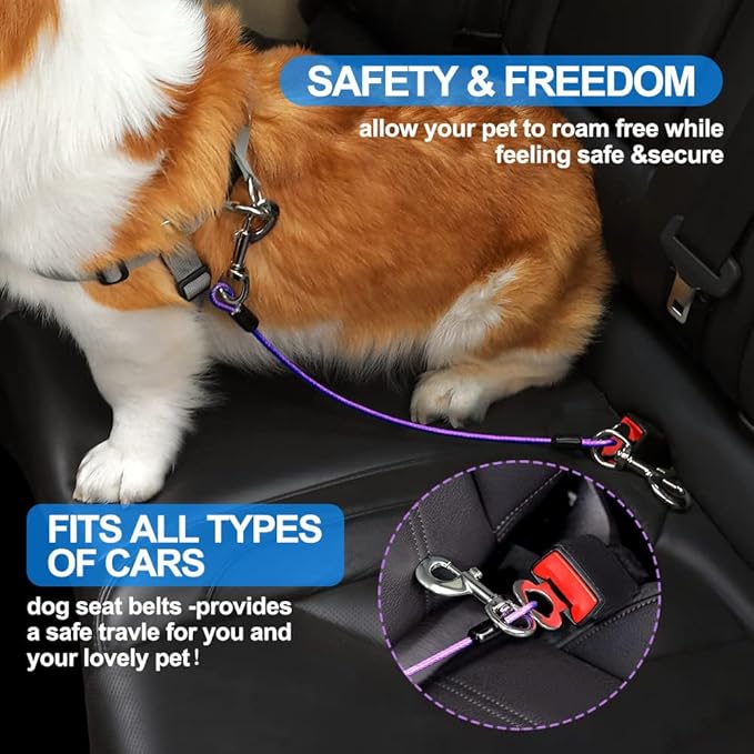 Dog Seat Belt Harness for Car,Dog Seatbelt of Coated Wire Leash Safety Restraint,No Chew Tether Cable Vehicle,Double Clips & Latch(Purple, 16 inch/40 CM)-PurrikoPets