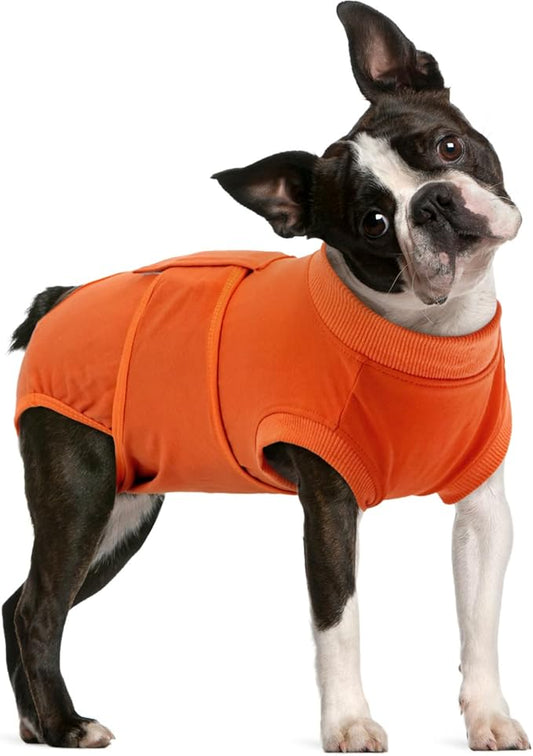 FUAMEY Dog Recovery Suit Male,Dogs Surgery Neuter Suits Puppy Spay Shirts for Female Protect Dog's Skin Anti Licking Abdominal Wounds Doggie Onesie Pet Bodysuit Alternative to Cone Orange L-PurrikoPets