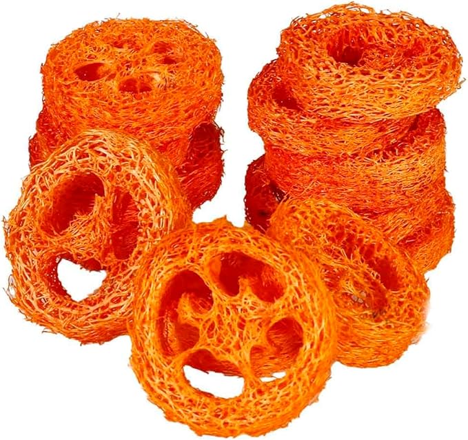 15 Pcs Fruit Flavored Loofah Slices Rabbit Chew Toys Guinea Pig Chew Toys Small Pet Chews Bunny Toys for Teeth Rabbit Toys-PurrikoPets