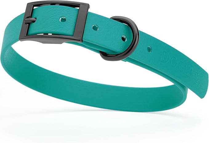 Dogline Biothane Waterproof Dog Collar Strong Coated Nylon Webbing with Black Hardware Odor- Proof for Easy Care Easy to Clean High Performance Fits Small Medium or Large Dogs, Blue Aqua-PurrikoPets
