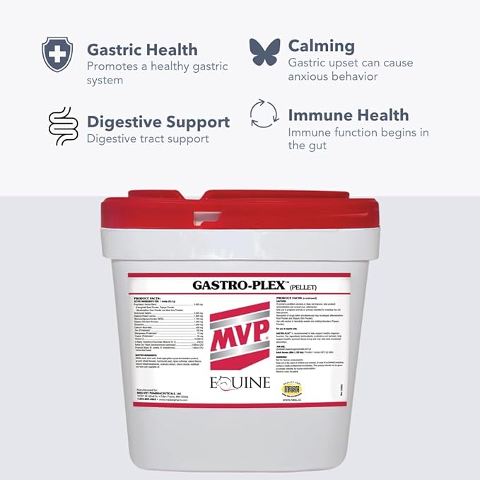 Gastro-Plex (6 lb) Supports Gut Health and Hindgut Digestion in Horses-PurrikoPets