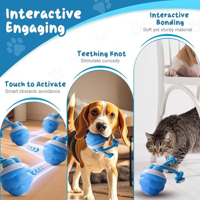 2026 New Interactive Pet Toy Ball, Smart Interactive Toy Ball for Cats & Dogs, Electric Rolling Pet Toy Ball, Rechargeable Interactive Cat Toys for Bored Indoor Cats Kittens to Keep Busy (Blue)-PurrikoPets