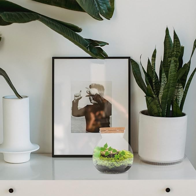 Fish Bowl with LED Light - Small Betta Fish Tank with LED Lighting and Lid Glass Fish Bowl Small Aquarium for DIY Landscape-PurrikoPets