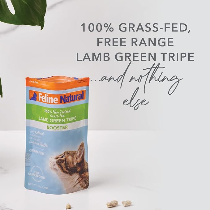 Feline Natural Freeze Dried Lamb Green Tripe Cat Food Supplement - Grain-Free High Protein Natural Topper - 2 Oz Grass Fed Beef Freeze Dried Cat Treats-PurrikoPets