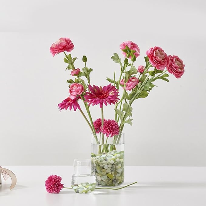 10 lbs Pebbles for Landscaping,1/4 Inch Polished Green Pea Gravel Small Rocks for Plants, Succulents, Cactus, Vases, Terrarium and Outdoor Gardening-PurrikoPets