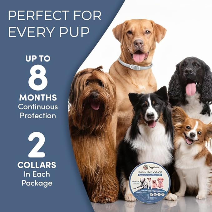 Flea and Tick Collar for Dogs, Cats – Natural Essential Oils – Long-Lasting 8 Month Protection – Waterproof, Adjustable – Safe for Puppies, Kittens, Sensitive Skin-PurrikoPets