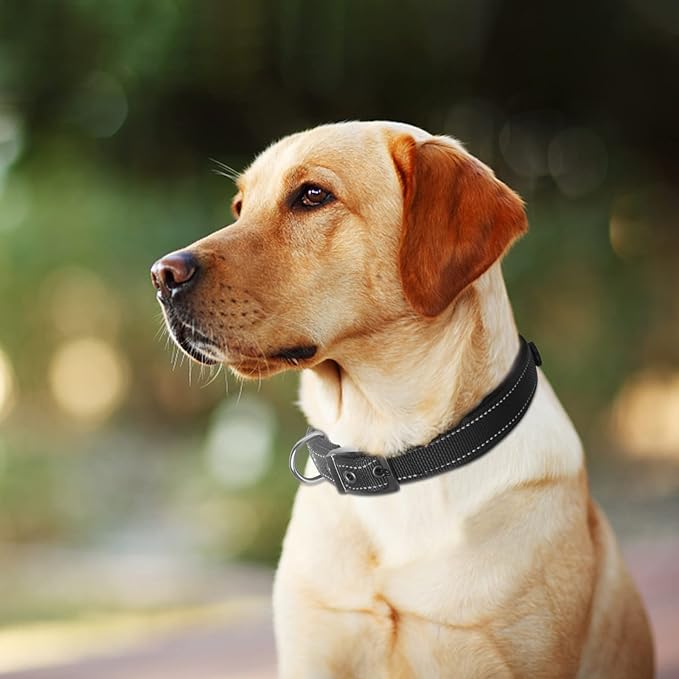 Fida Heavy Duty Dog Collar, Ultra Comfortable Soft Neoprene Padded, Adjustable Reflective Nylon Pet Collar with Durable Metal Belt Buckle for Large Breeds (L, Black)-PurrikoPets