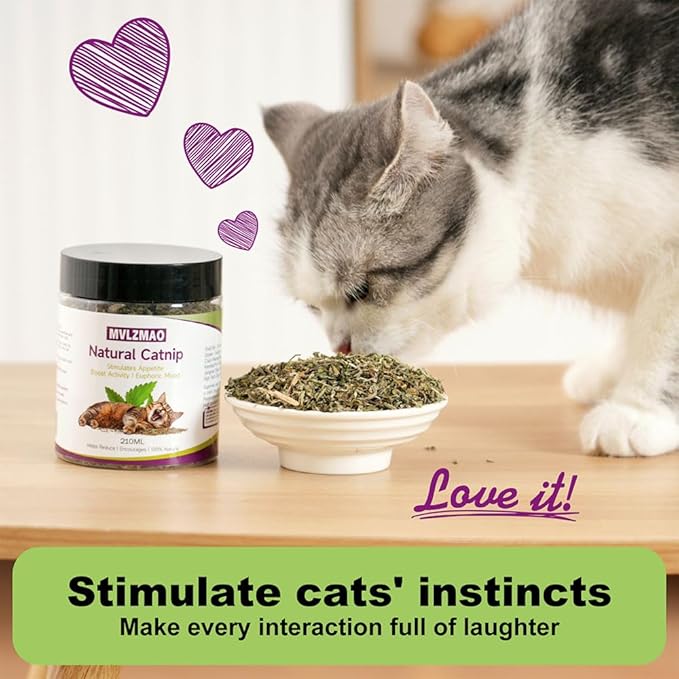 210ML Organic 100% Natural Catnip Cattle Grass Mint Taste Funny Cat Toy New Cat Toy Interactive Cat Toys Pet Supplies-PurrikoPets