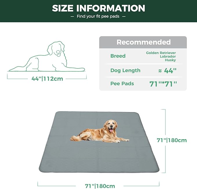 FXW Washable Pee Pads for Dogs, Puppy Pads with Super Absorbent, Specifically Designed for FXW Rollick/Homeplus 32inch 8 Panels Dog Playpen, 71" Square, Gray, 1 Pack-PurrikoPets