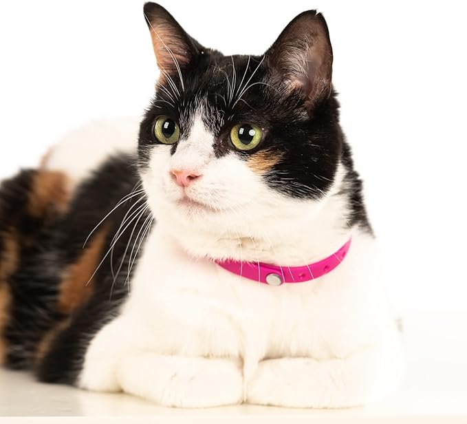 3 Pack Breakaway Cat Collar - Soft, Comfortable, and Lightweight Safety Buckle Collar with Name Tag Ring for Outdoor Cats and Sensitive Skin Kittens by Nuvuq (6 ⅞" to 10 ¼", Blue, Pink and Black)-PurrikoPets