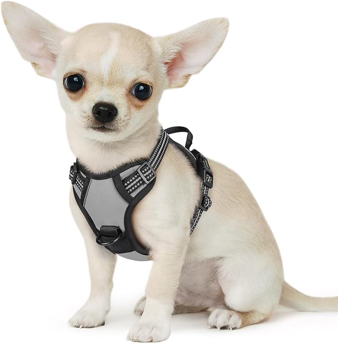 Eagloo Small Dog Harness No Pull, Service Vest with Reflective Strips and Control Handle, Adjustable and Comfortable for Walking, No Choke Pet Harness with 2 Metal Rings, Grey, XS-PurrikoPets