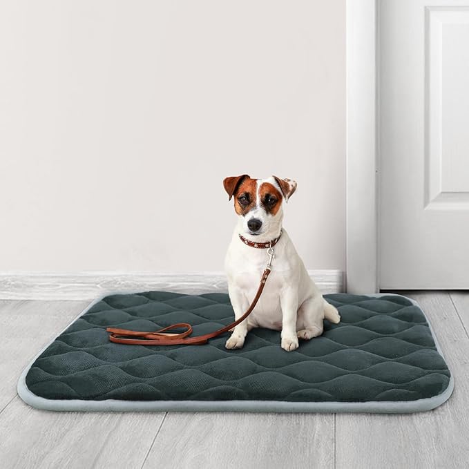 furrybaby Dog Crate Pad for Dog Cages Flat Crate Mat Kennel Pad with Anti-Slip Bottom Machine Washable for Pet Bed Sleeping (S 24x18'', Grey Mat)-PurrikoPets