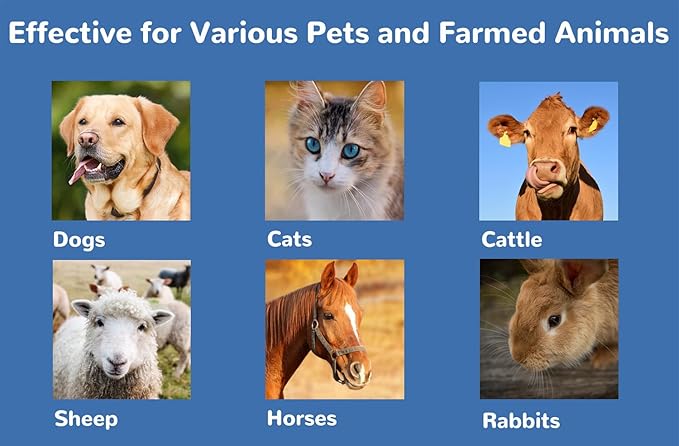 Eye Health Cream for Cats, Dogs, Pets, Cattle, Sheep, Horse, Bird 1/8 oz /3.5gr - 1Pcs-PurrikoPets