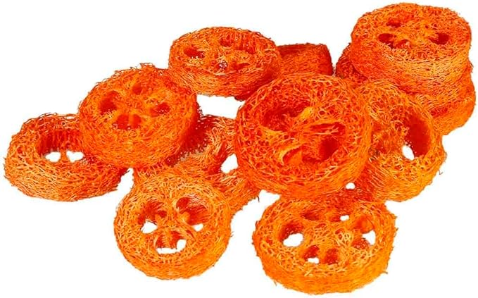 15 Pcs Fruit Flavored Loofah Slices Rabbit Chew Toys Guinea Pig Chew Toys Small Pet Chews Bunny Toys for Teeth Rabbit Toys-PurrikoPets