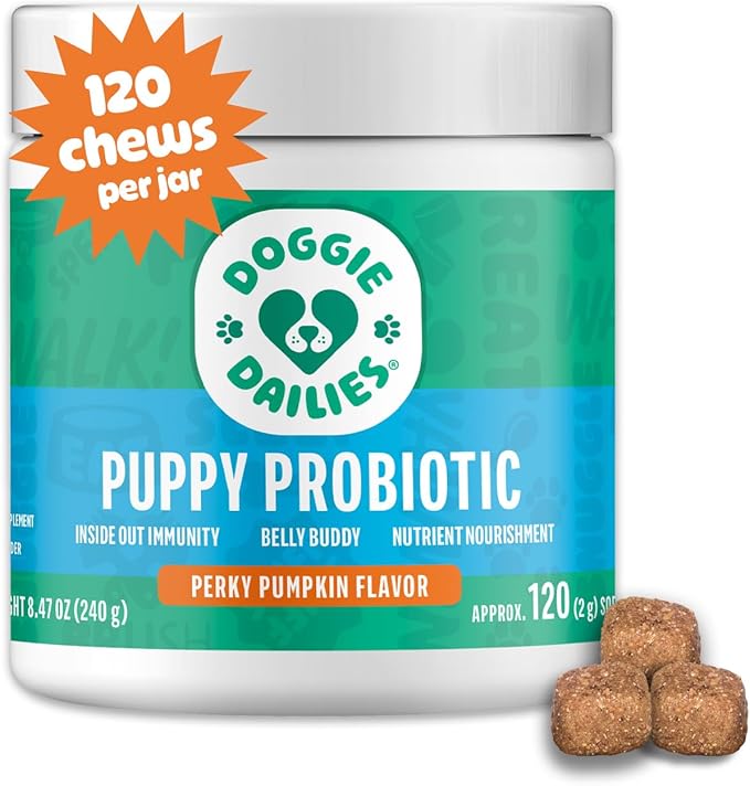 Doggie Dailies Puppy Probiotic, Probiotics for Puppies with Digestive Enzymes, Promotes Digestive Health, Supports Immune System & Overall Development (Pumpkin) 120 Soft Chews-PurrikoPets
