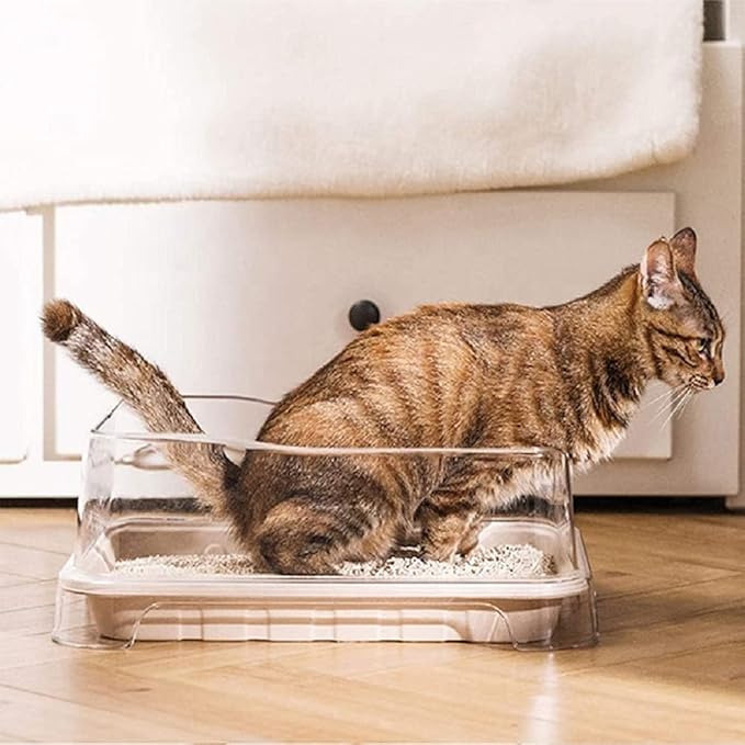 1 Transparent Cat Litter Splash Shield Plus (5-Pack) Disposable Litter Boxes. Small, Quick and Easy Disposal. Shallow for Small Pets, Senior Cats, Kittens-PurrikoPets