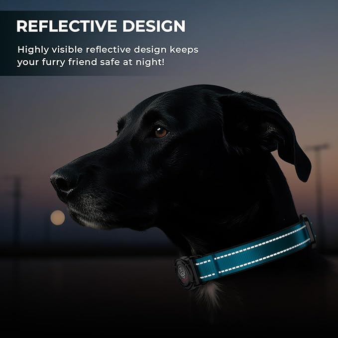2025 Upgrade Airtag Dog Collar, Reflective Dog Collar with Airtag Holder, IP68 Waterproof| Metal Buckle| Ultra-Durable| Comfortable Padded, GPS Dog Collars for Medium Large Dogs (Blue,XL)-PurrikoPets