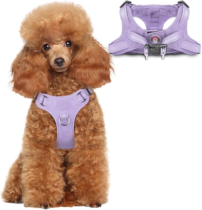 Dog Harness Step in Dog Vest Harness, Reflective Adjustable Puppy No Pull Harness Breathable Soft for Small and Medium Dogs Cats, Violet Purple, XS-PurrikoPets