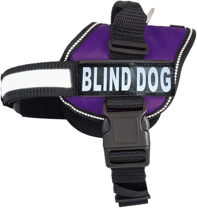 Doggie Stylz Blind Dog Harness No Pull No Escape Dog Vest for Blind Dogs Adjustable Vest with Handle Blind Dog Accessories and Patches for Training and Mobility-PurrikoPets