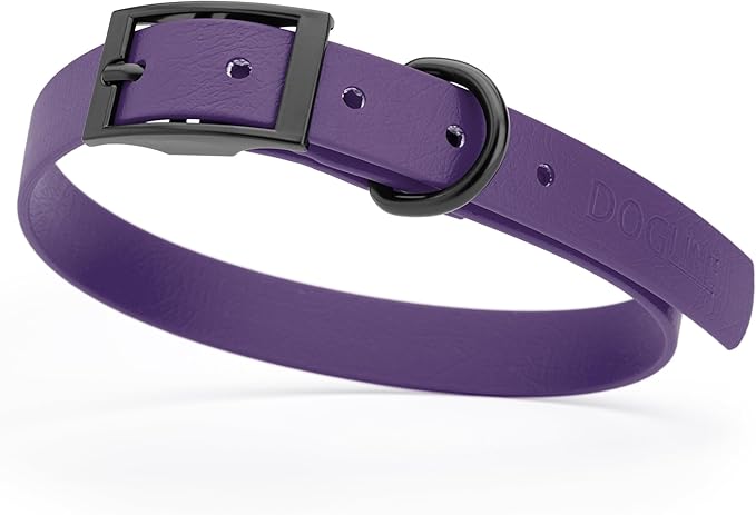 Dogline Biothane Waterproof Dog Collar Strong Coated Nylon Webbing with Black Hardware Odor- Proof for Easy Care Easy to Clean High Performance Fits Small Medium or Large Dogs, Violet Purple-PurrikoPets