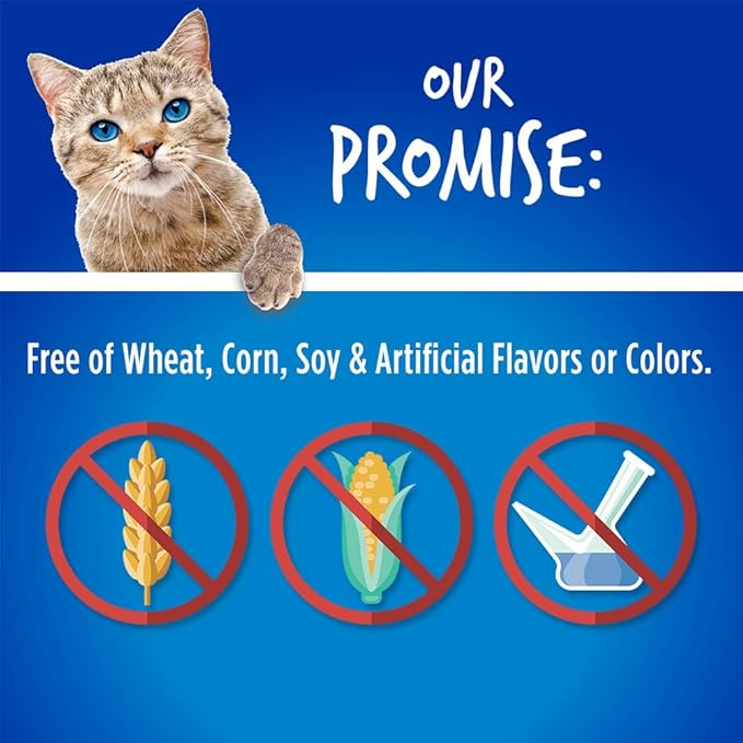 Fruitables Cat Treats Crunchy Cat Treats Packed with Protein Healthy Low Calorie Free of Wheat, Corn and Soy Made with Real Chicken and Blueberry 30 Ounces-PurrikoPets