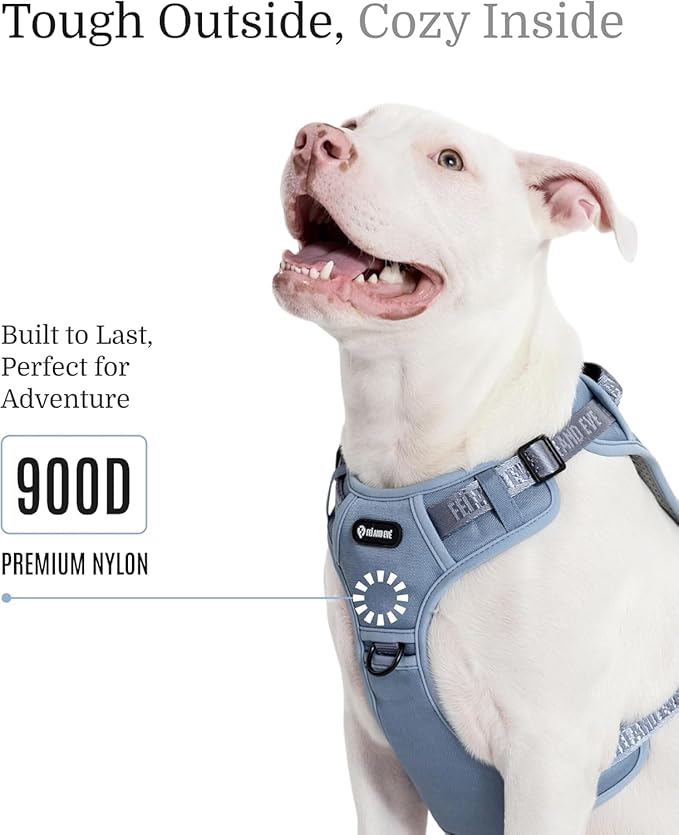 2025 New Edition, Fei & Eve MagEase Dog Harness - 3-Second Magnetic Buckles | 3-Point No-Pull Control | Heavy-Duty 900D Nylon | Dual Safety Handles | Breathable Mesh | Adjustable Fit |Small, Blue-PurrikoPets