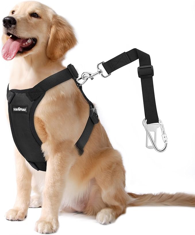 Dog Seat Belt, Safety Vest Dog Car Harness with Adjustable Buckle Dog Seat Belt for Vehicle Nylon Pet Safety Seat Belts Heavy Duty(XXL, Black)-PurrikoPets